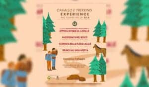 Cavallo e Trekking Experience: un’immersione nella natura nel cuore della Sila Piccola