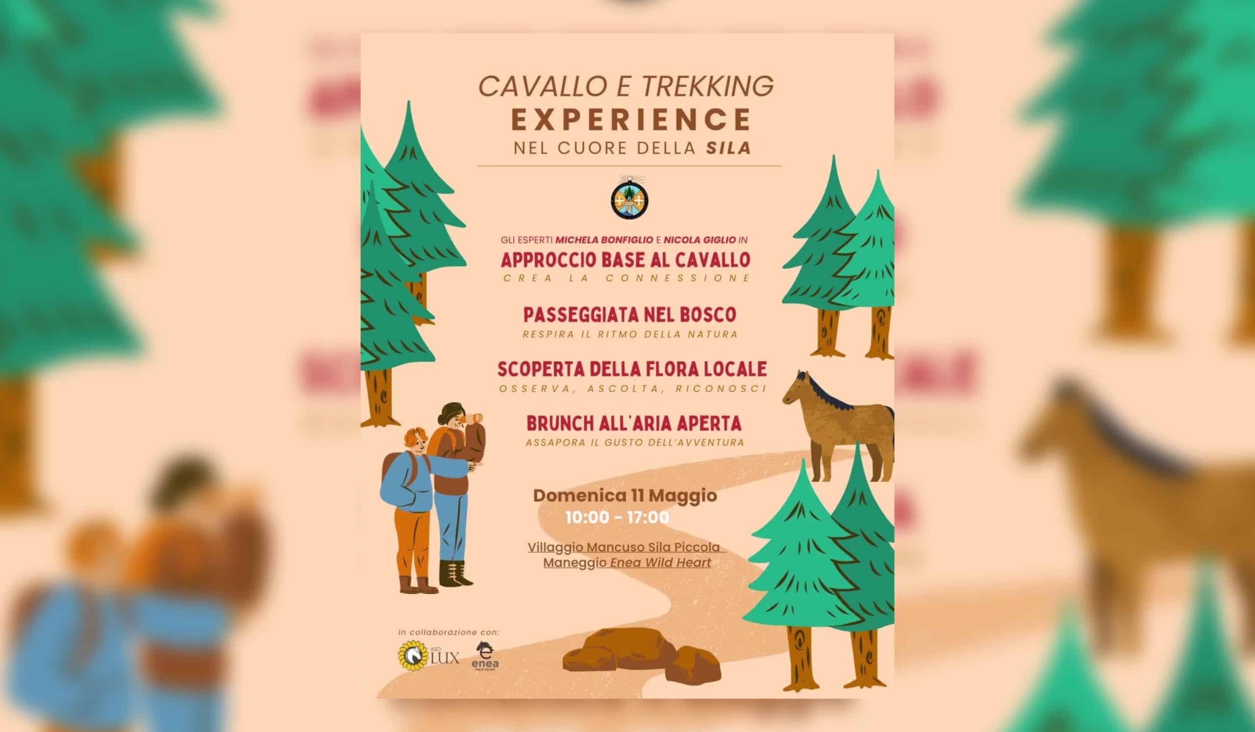 Cavallo e Trekking Experience: un’immersione nella natura nel cuore della Sila Piccola