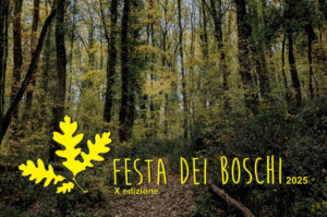 Festa dei Boschi 2025: escursioni, cultura e natura in 12 aree verdi dell’Umbria
