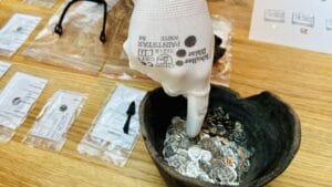 Trovato tesoro in Ungheria con Minelab Equinox 900