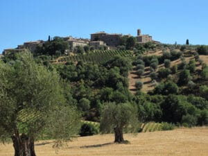 Trekking tra le colline del Brunello fino all’Abbazia di Sant’Antimo